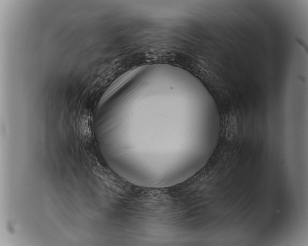 X0000101660770200807241417