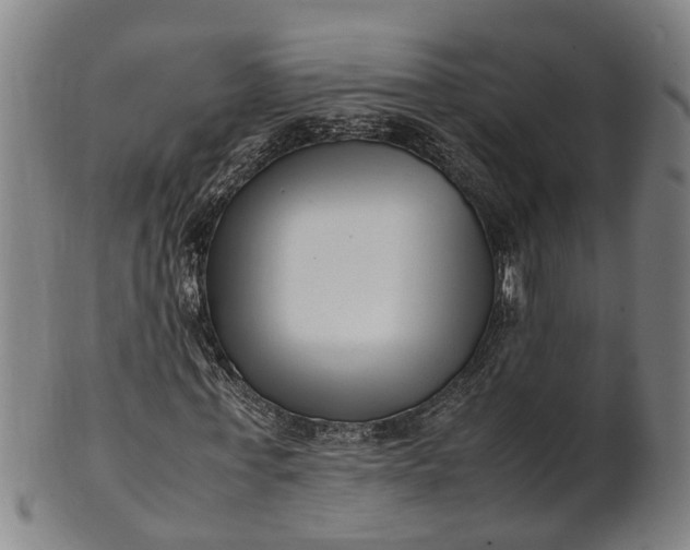 X0000101660771200807241417