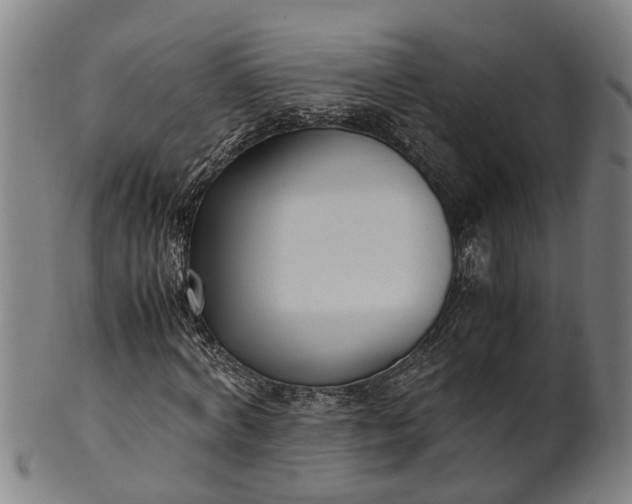 X0000101660772200807241417