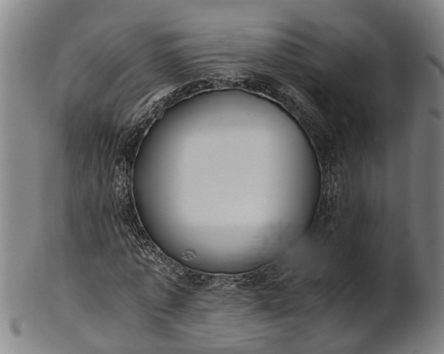 X0000101660773200807241417