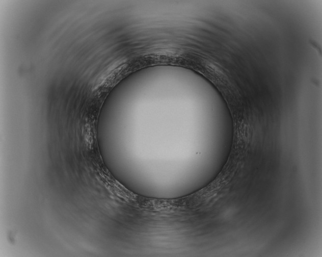 X0000101660774200807241417