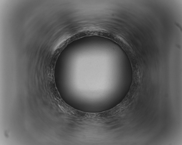 X0000101660775200807241417