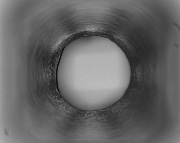 X0000101660776200807241417