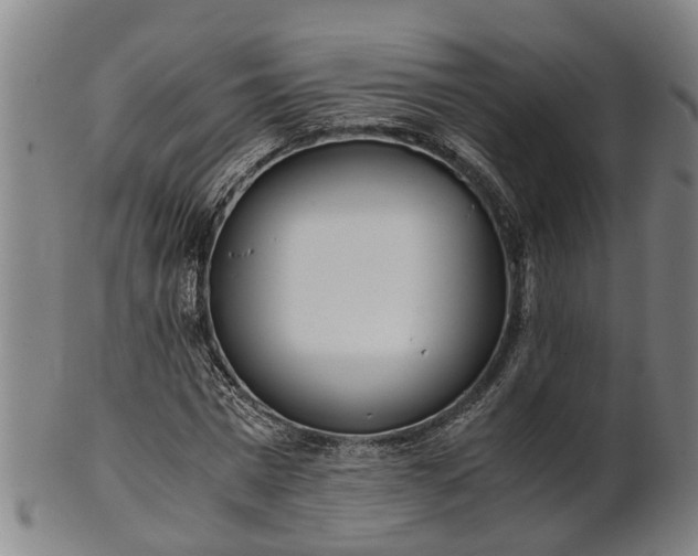 X0000101660777200807241417