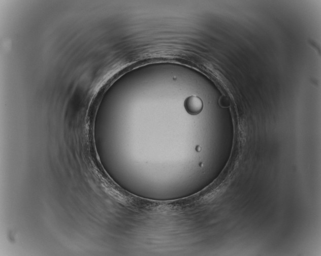 X0000101660779200807241417