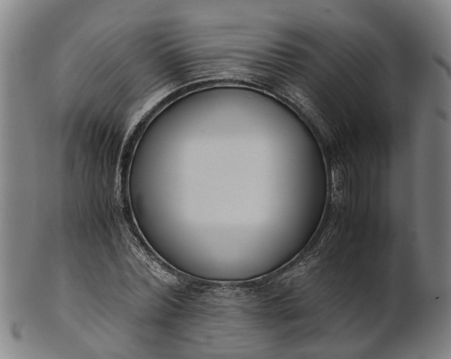 X0000101660780200807241416