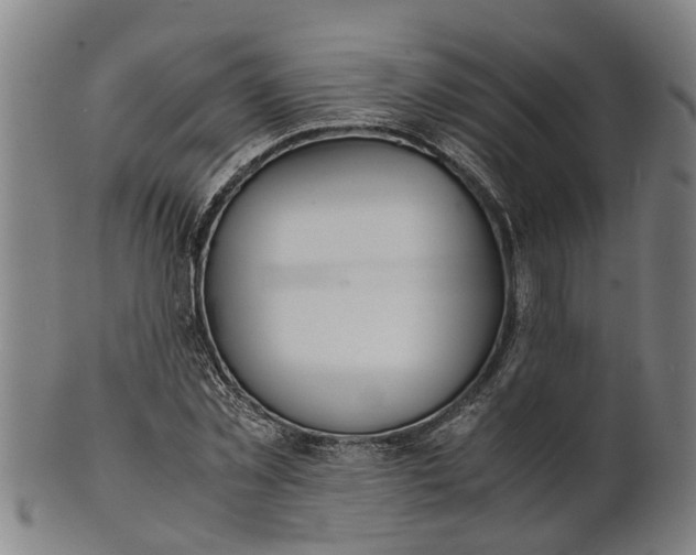 X0000101660781200807241416