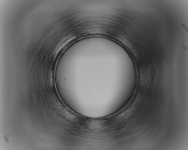 X0000101660782200807241416