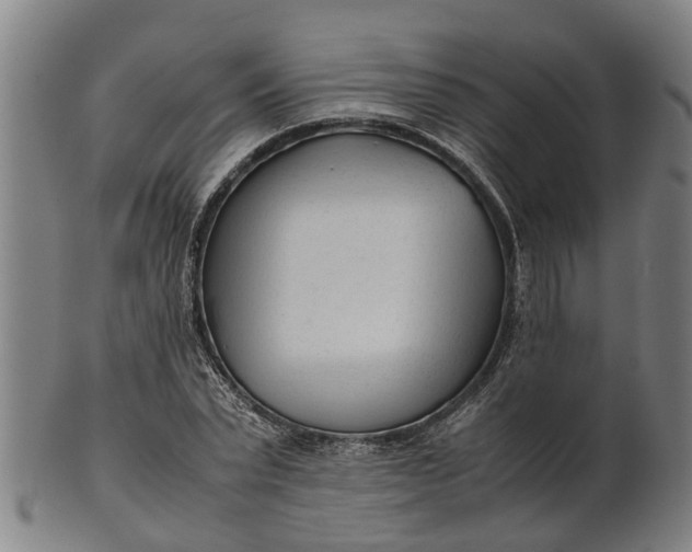 X0000101660783200807241416