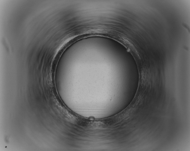 X0000101660784200807241416