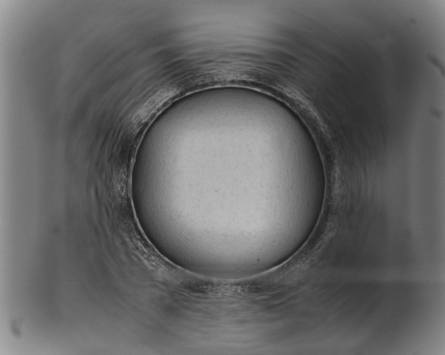 X0000101660785200807241416