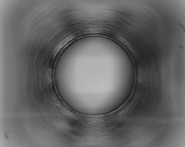 X0000101660786200807241416