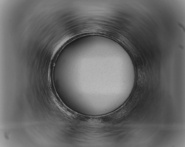 X0000101660788200807241416