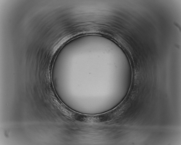 X0000101660789200807241416