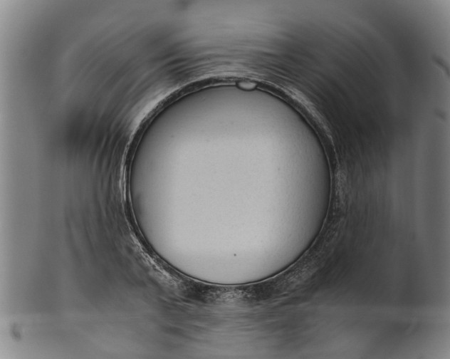 X0000101660791200807241416