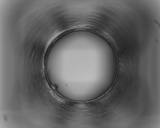 X0000101660792200807241416