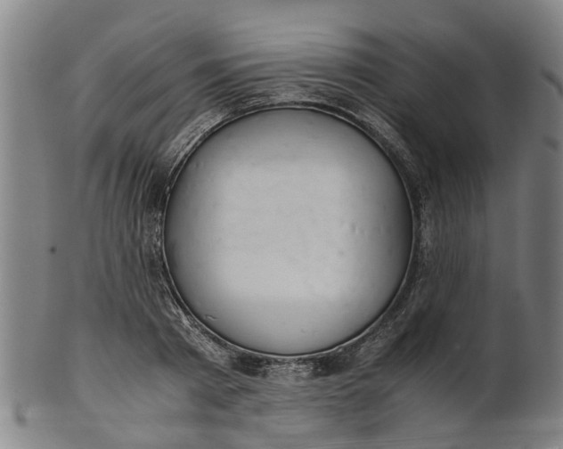 X0000101660793200807241416