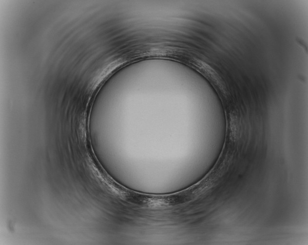 X0000101660794200807241416