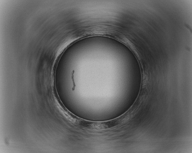 X0000101660795200807241416