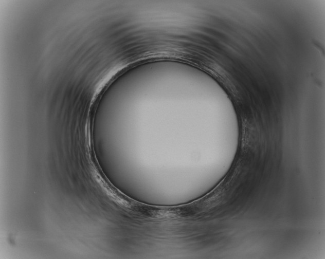 X0000101660796200807241416