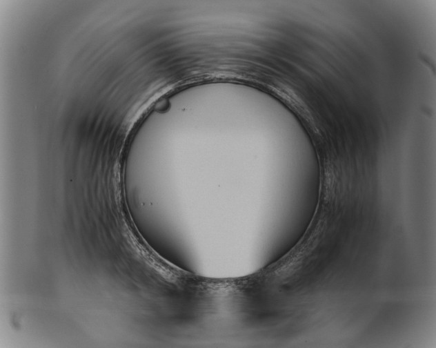 X0000101660798200807241416