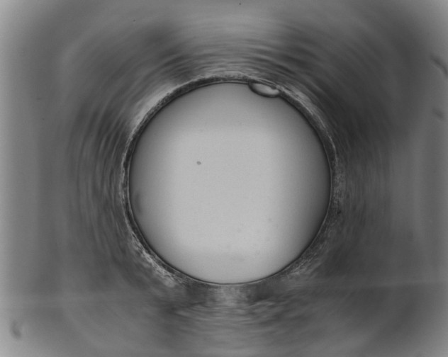 X0000101660799200807241416