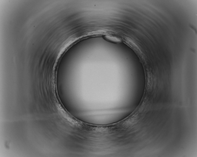 X0000101660800200807241416