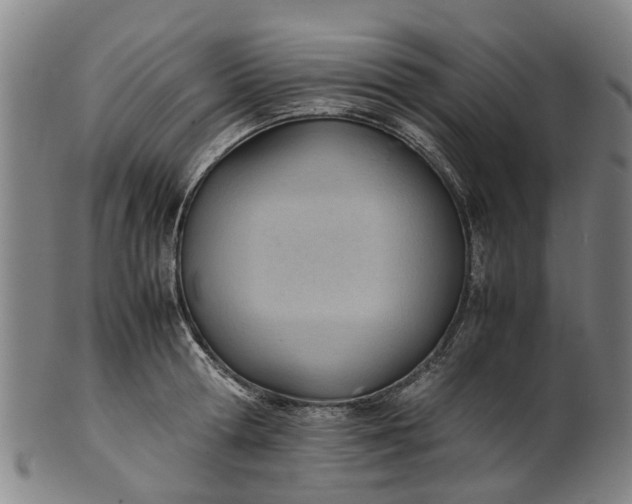 X0000101660802200807241416