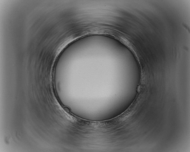 X0000101660803200807241416