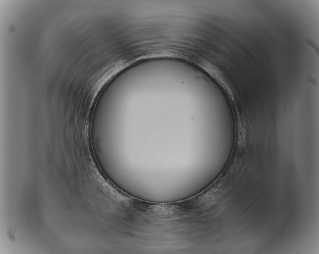 X0000101660805200807241416