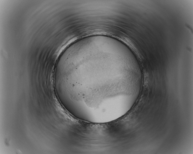 X0000101660806200807241416