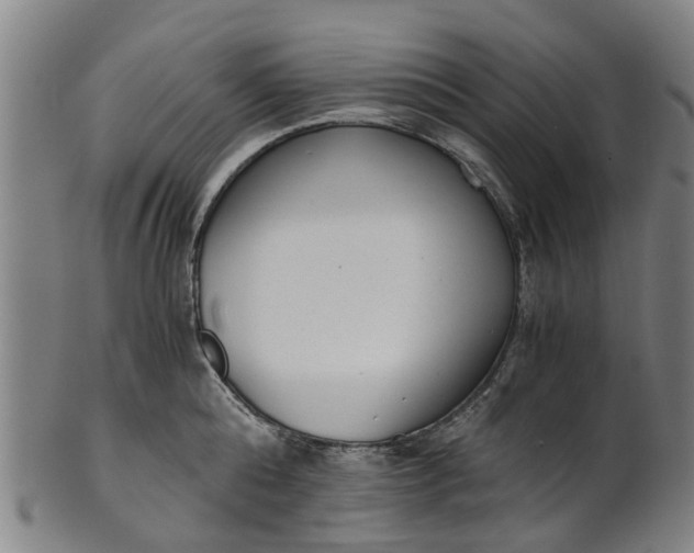 X0000101660808200807241416