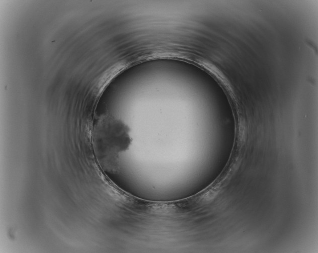 X0000101660809200807241416