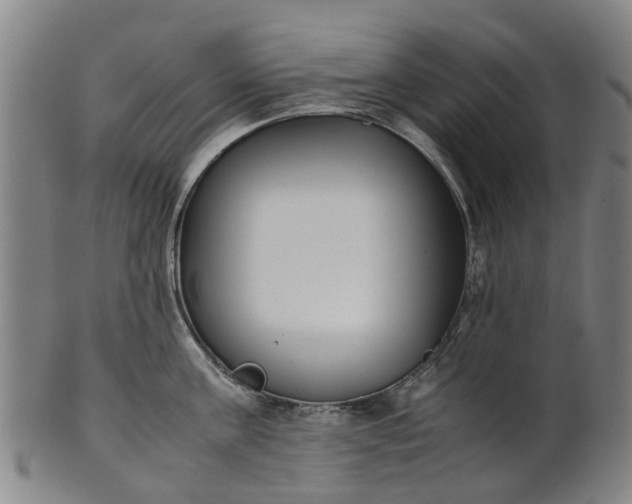 X0000101660811200807241416