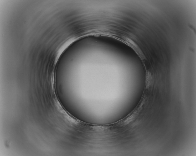 X0000101660812200807241416