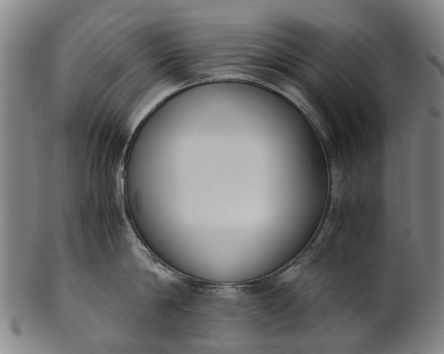 X0000101660814200807241416