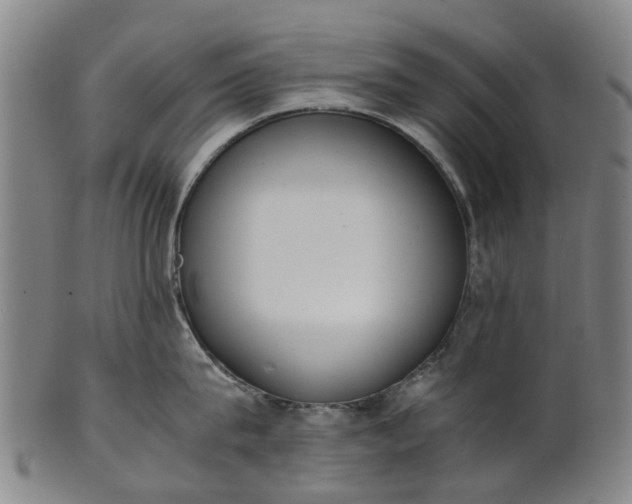 X0000101660815200807241416