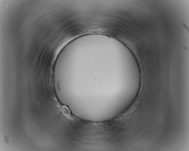 X0000101660816200807241416