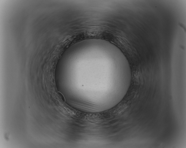 X0000101660817200807241415