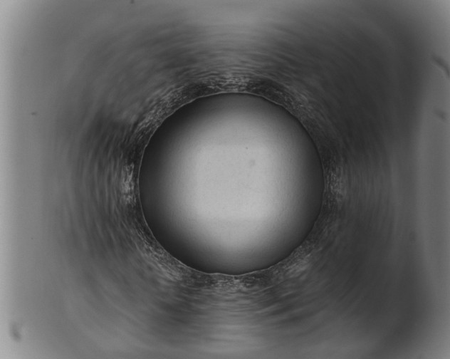 X0000101660818200807241415