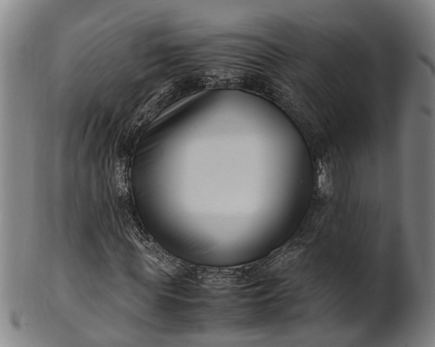 X0000101660819200807241415