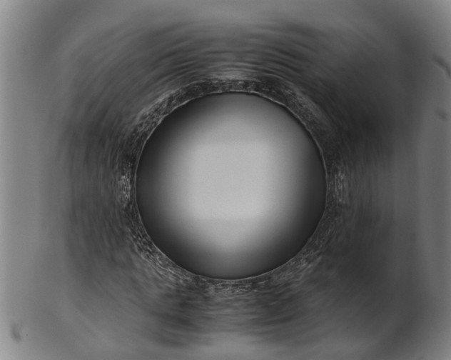 X0000101660821200807241415