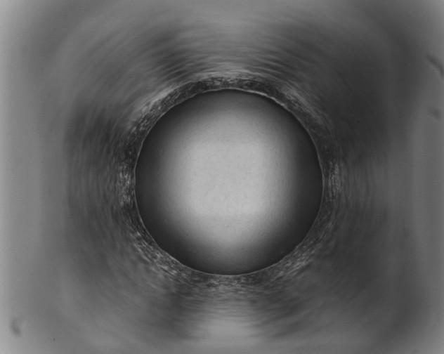 X0000101660822200807241415