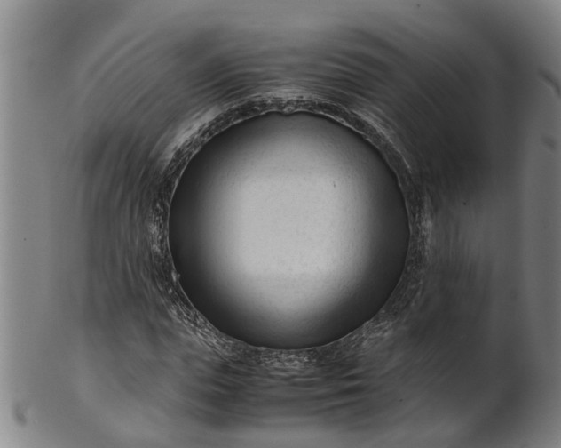 X0000101660823200807241415