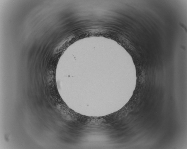 X0000101660824200807241415