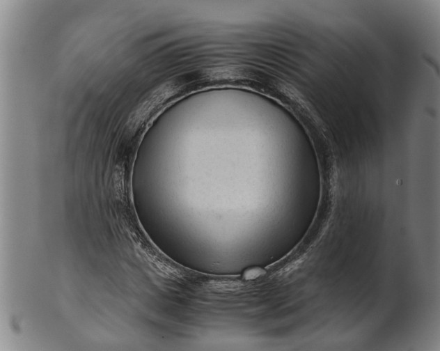 X0000101660825200807241415