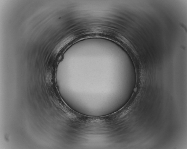 X0000101660826200807241415