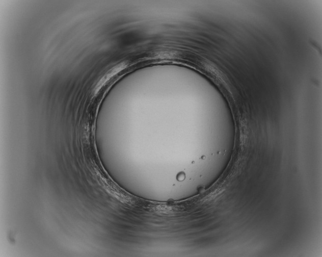 X0000101660827200807241415