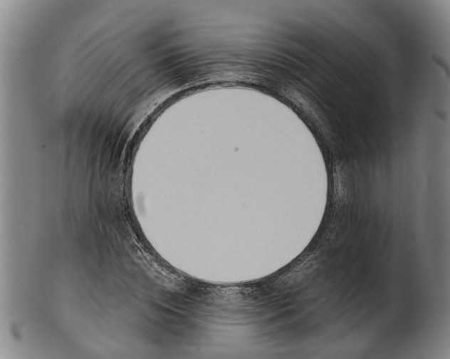 X0000101660828200807241415