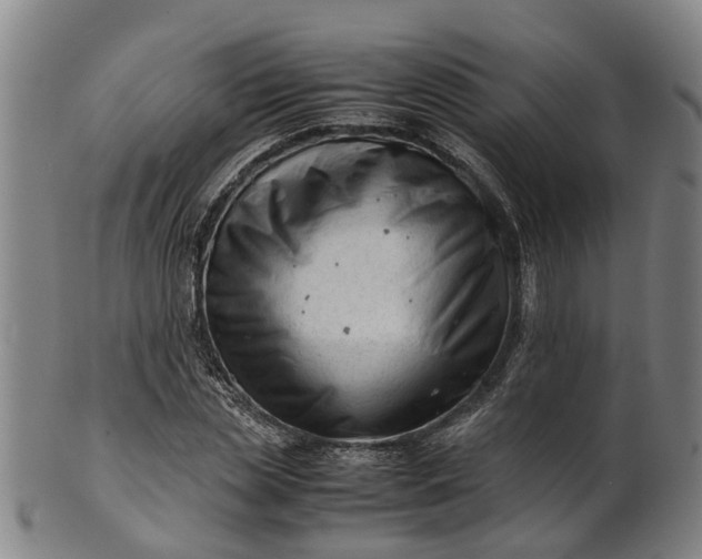 X0000101660829200807241415